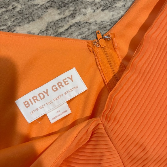 Birdy Grey Michelle Dress Chiffon Apricot NEW size 3X - Picture 9 of 10
